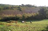The old quarry.